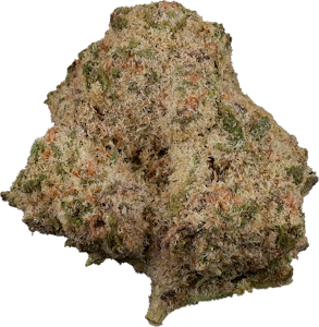 The Loud Plug - The Loud Plug - Exotic Gas | 28g