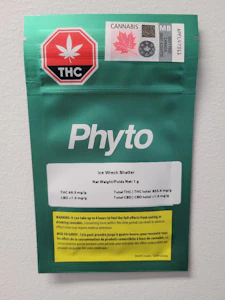 Adastra Labs Inc - Phyto Ice Wreck Shatter 1g