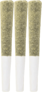 The Loud Plug - The Loud Plug - Shatter Infused Pre Rolls 3x0.5g | 1.5g