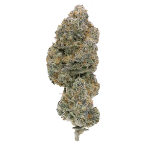 Northern Canna - Modified Supersonic 7g Dried Flower