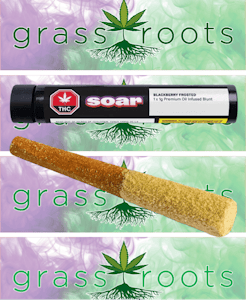 Soar - Blackberry Frost 1 x 1g Kief Coated Distillate Infused Blunt