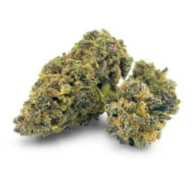 Pineapple Buds - PINEAPPLE BUDS | HAWAIIAN PINEAPPLE 3.5g Main Image