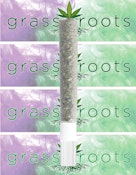 Apricot Frost 1 x 1g Glass Tip Pre-Roll