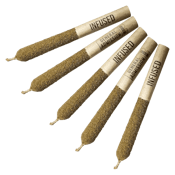 Passion Fruit Dream Infused Pre-Rolls 5 x 0.5g