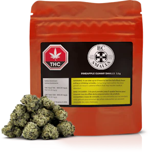 BC Smalls - Dealr - Pineapple Gummy Smalls (3.5g)