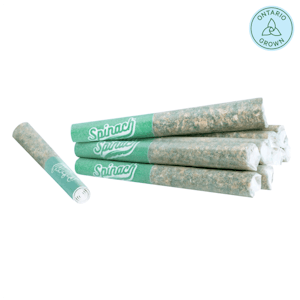 Spinach - GMO Cookies Pre-Roll 10x0.35g