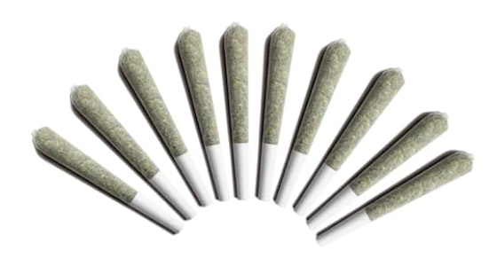 Choklit Park - ORANGE GLAZED HAZE - 10 x 0.5g