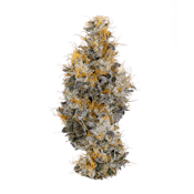 COAST MTN-BC ORG VANILLA FROST LTO-3.5G