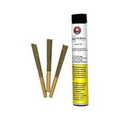 GALACTIC CAKE | APOTHECARY BOTANICALS | 3 x .5g