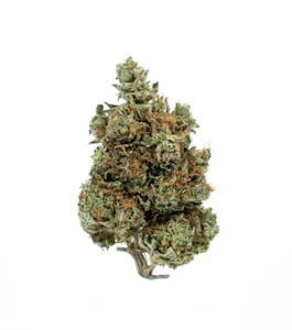 Fort 20 Farms - Bubba Kush 7g