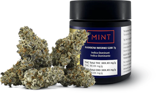 Mint - RAINBOW INFERNO - 7