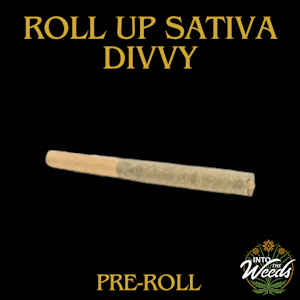 Divvy - Roll Up Sativa - 1 x 0.5g