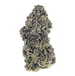 JR Strain - Gastro Pop - 14g