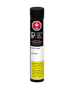 Pistol And Paris - Pistol and Paris | FLAVOURS VARIETY PACK PRE-ROLLS - 2