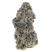 AMANI CRAFT | GASTRO POP - 7