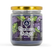Odour Eliminator 13 oz Candle - Blueberry Delight