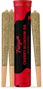 Fuego - Fuego - Cherry Blossom OG Infused Pre-Roll - 3x0.5g