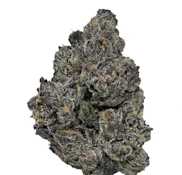 White Runtz Hybrid Flower - 7g