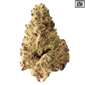 The Loud Plug | Platinum Punch Craft Flower | 28g PROMO