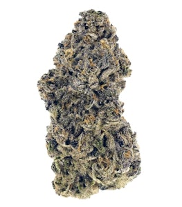 Woody Nelson Country Club - Woody Nelson | Gastro Pop | 14 g