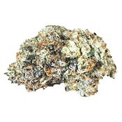 Gas n' Up 14g Dried Flower