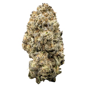 WAZA - Orange Slushie 7g