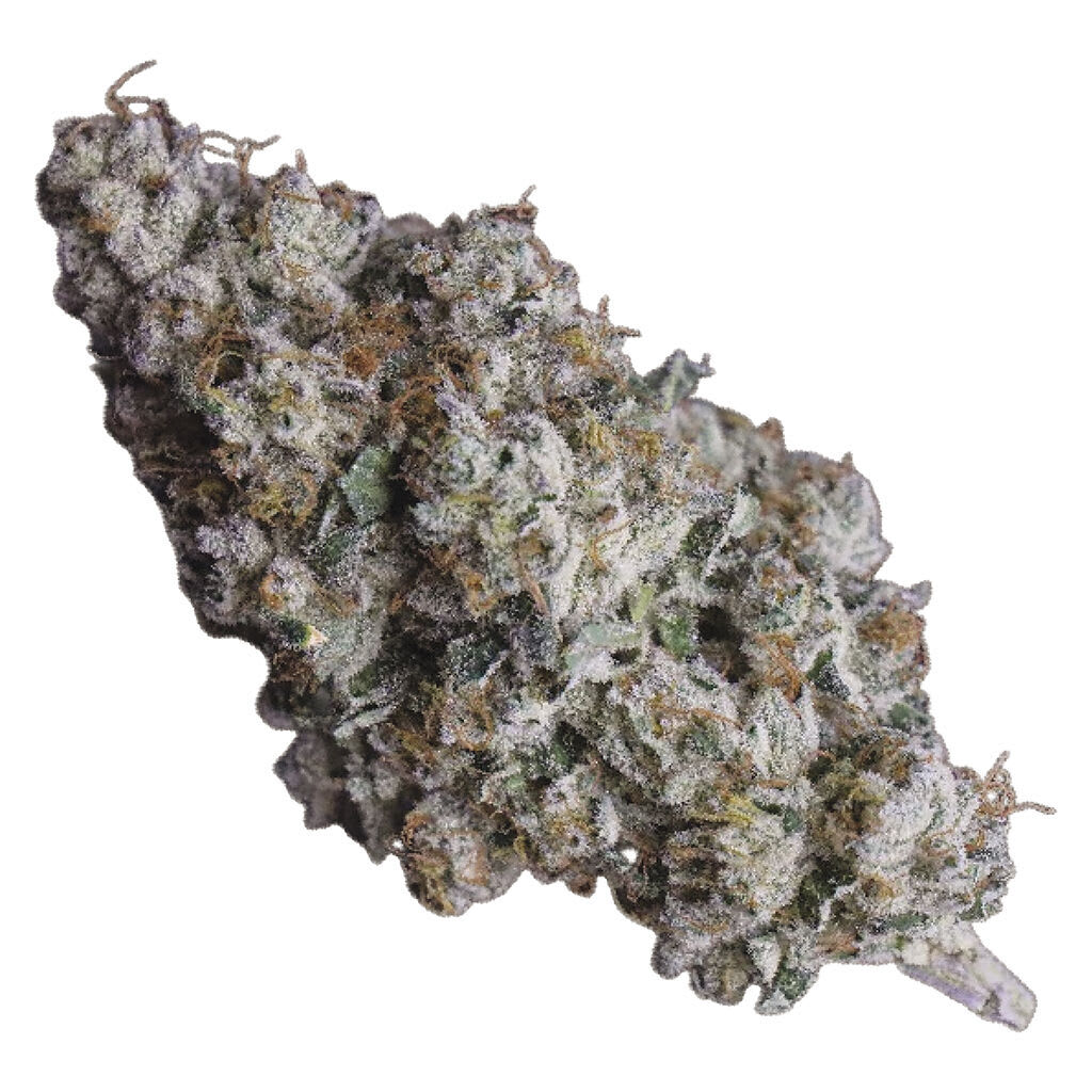 91 Royale 7g Dried Flower