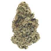 Tropical Orange (Warehouse Premium Smalls) (Woody Nelson) (3.5g)