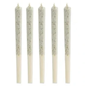 1964 - 1964 - Comatose Pre-Roll 5x0.5g