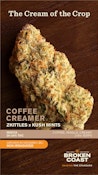 Coffee Creamer 3.5g Dried Flower by Broken Coast