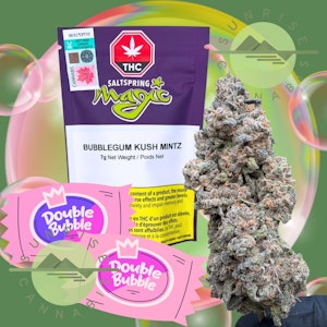 Saltspring Magic - BUBBLEGUM KUSH MINTS - SALTSPRING MAGIC - 7G