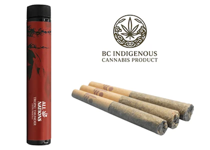 ALL NATIONS - TROPIC THUNDER (Maui Wowie Cross) | 3 x 0.5g