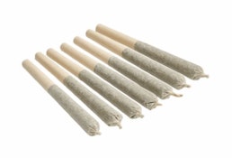 The Cloud (Rotating Strain) 7 x 0.5g Pre-Rolls by PUFFIN PARADISE