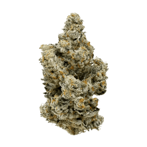 Kootenay Cultivar - 7G FUGU LTO