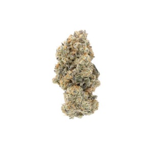 Salt Spring Magic - Bubblegum Kush Mintz-3.5