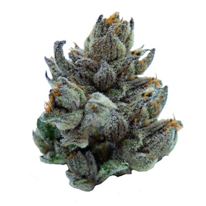 Viola - Viola - AI '96 - Indica - 3.5g