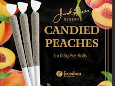 Candied Peaches 3 x 0.5g Pre-Rolls - Jack Herer