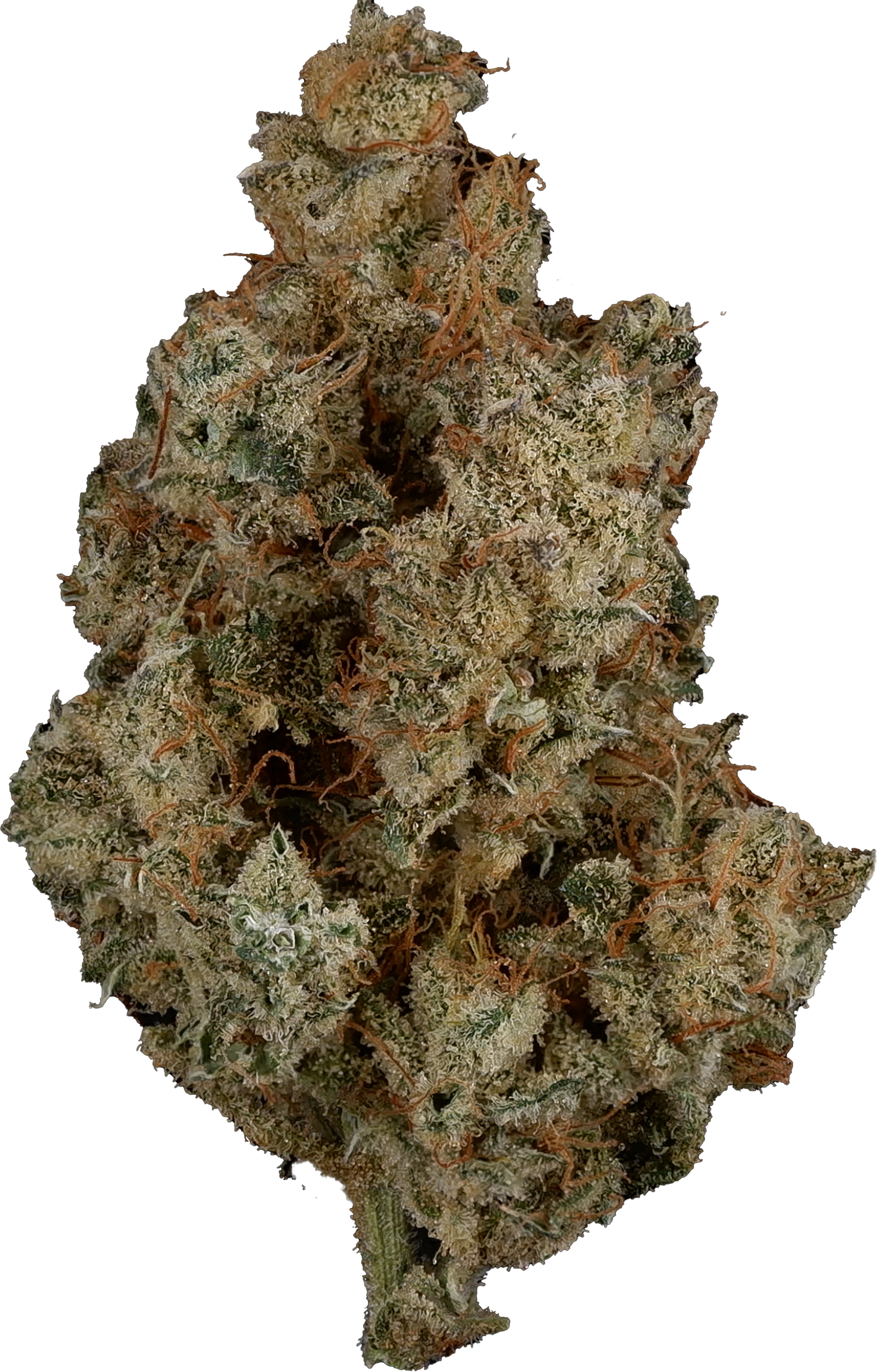 Woody Nelson - Premium Smalls (Platinum Skywalker) | 3.5g