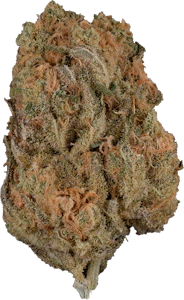 JOI Botanicals - Joi Botanicals - Super Lemon Haze CBD | 3.5g