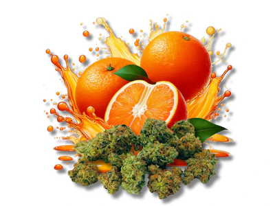 Dab Bods - Dab Bods Twisted Citrus 14g Dried Flower