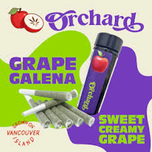 Orchard - GRAPE GALENA | ORCHARD | 7 x .5g