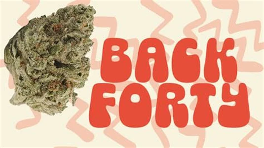 Auxly Inc - 28g Chemzilla Indica 28g