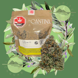 Cappellano Cannabis Co. - LA CANTINA GODFATHER OG - CAPPELLANO CANNABIS -  28G