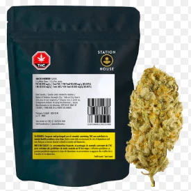 Station House - STATION HOUSE | JACK HERER 3.5g Main Image