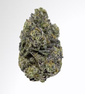 Trygg - Sativa (Space Cadillac) - 14g