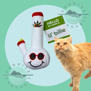 Sunrise Cannabis Headshop - LIL BILLIE BONG - CAT TOY