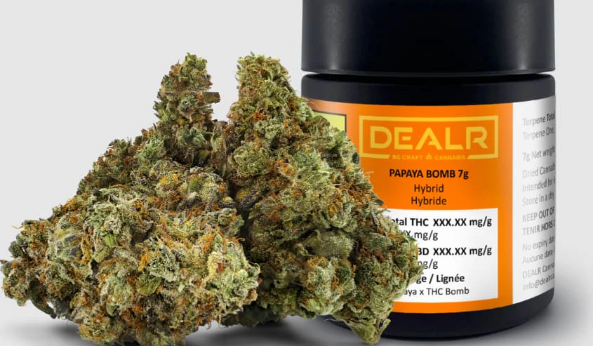 DEALR - DEALR | PAPAYA BOMB | 7g Main Image