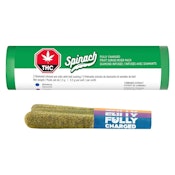 Fruit Surge Mixer Pack Infused Pre-Rolls 3 x 0.5g