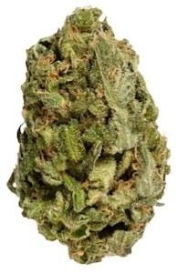 Bake Sale - All Purpose Flower Sativa Rotational 28g