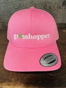HOMETOWN PRINTS : YP Classic 6606 Pink Ball Cap